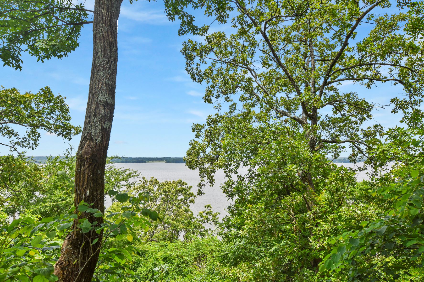 Eagles bluff homes for sale