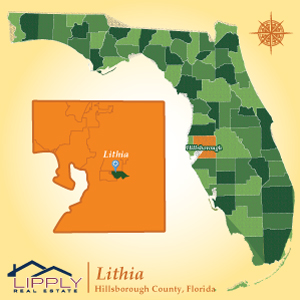 Lithia Florida Real Estate Homes For Sale Lithia 