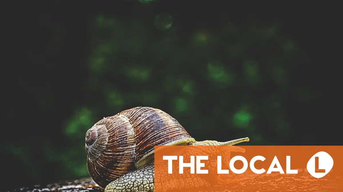 Why are things so slow to change in Switzerland?