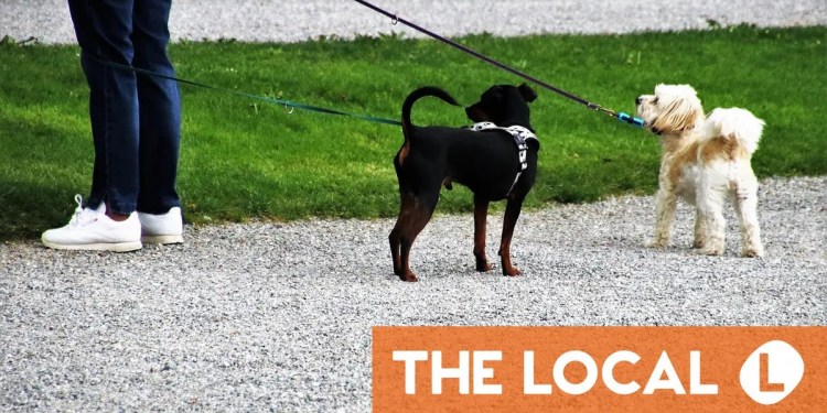 A roundup of the latest news on Thursday A roundup of the latest news on Thursday