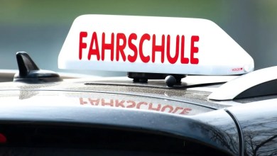 German cabinet approves cheaper driver licence reform