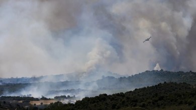 Wildfires and heat surge overwhelm France and Spain Wildfires and heat surge overwhelm France and Spain