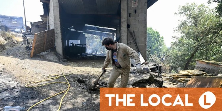Livestock farmers fear for livelihoods as wildfires ravage Spain Livestock farmers fear for livelihoods as wildfires ravage Spain
