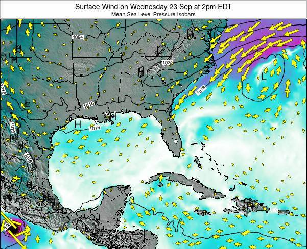 Florida Surface Wind On Friday 19 Jun At 8am EDT 