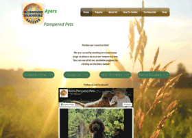 ayerspamperedpetsnet at wi ayers pampered pets on ayers pampered pets complaints