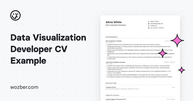 Data Visualization Developer Cv Example - Premium Ocean Background Gallery - Ultra HD