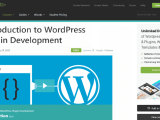 Top 10 Online Wordpress Plugin Development Courses And Tutorials