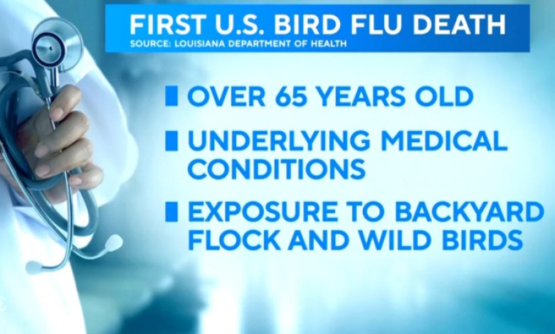 First bird flu death in U.S. reported in Louisiana First bird flu death in U.S. reported in Louisiana