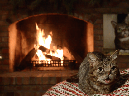 I Watched Every Yule Log Video On Netflix So You Don T Have To By Katie Medium