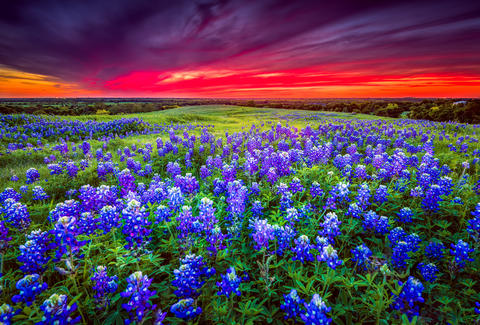 Texas hill country wedding venues · featured. Best Places to Visit in the US in Spring: Texas