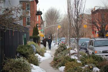 However, where did this traditio. Christmas Trees In Nyc Where How To Find The Perfect Christmas Tree Thrillist