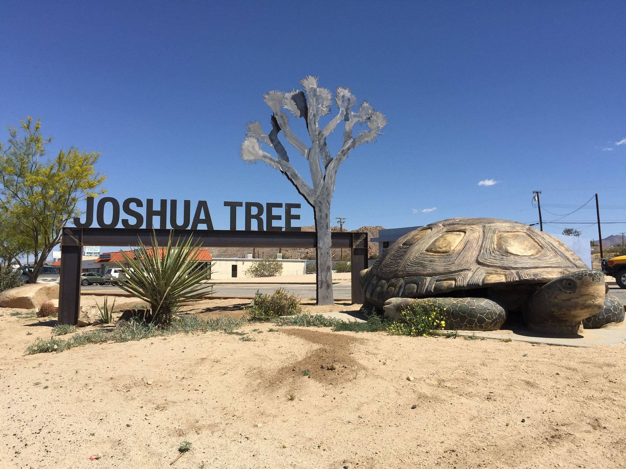 Weird And Wonderful Joshua Tree California Boyeatsworld