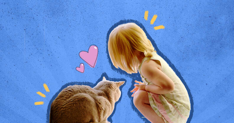 How do i know if my kid is ready for a cat?