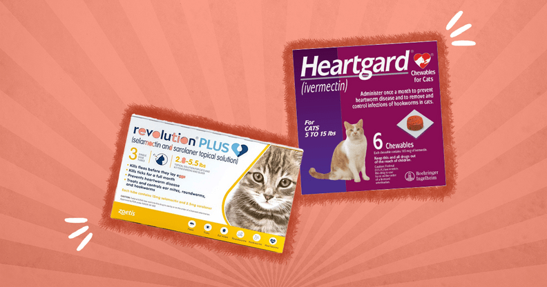 7 best heartworm prevention medicines for cats