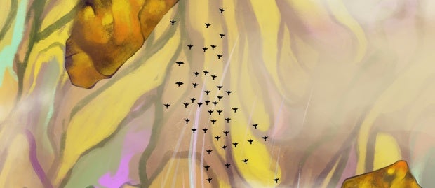 Assignment 1 16 Pdf Orbit Apsis - Download Ultra HD Mountain Design | Full HD