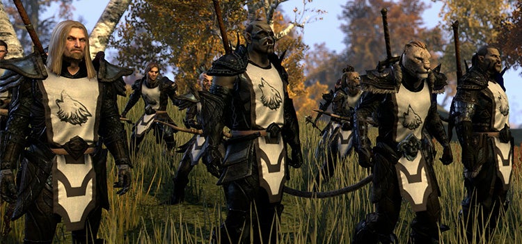 Guilds Elder Scrolls Online Wiki - High Resolution Landscape Images for Desktop