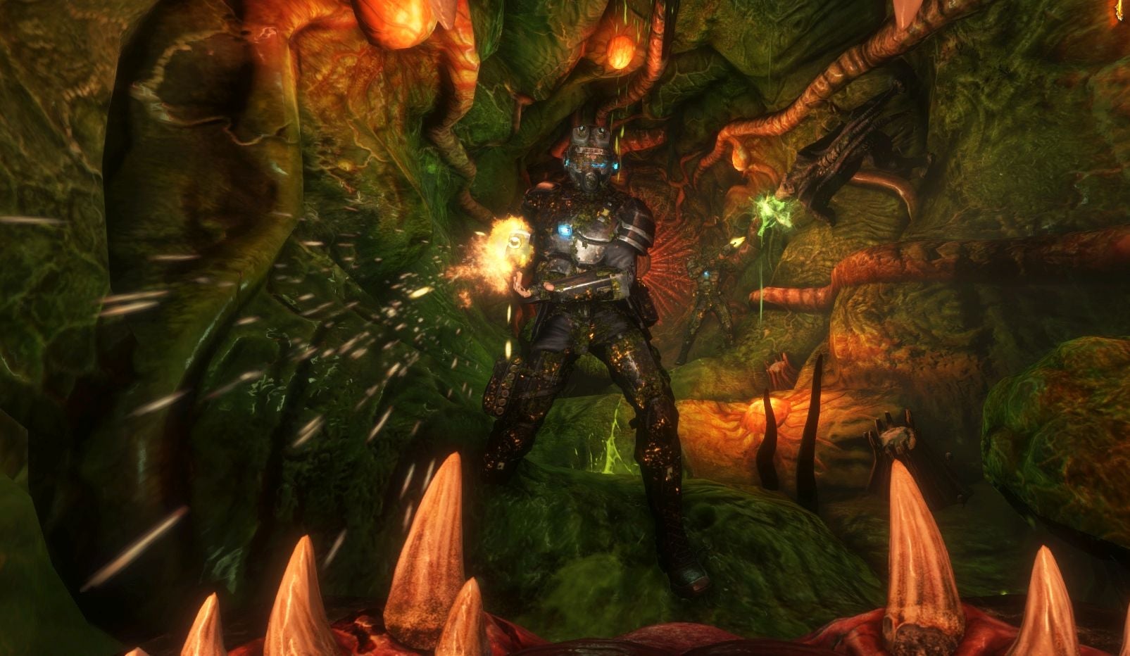 Natural Selection Game - Light Illustration Collection - HD Quality