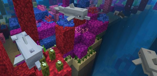 Minecraft S Aquatic Update Features Friendly Dolphins And Fetching