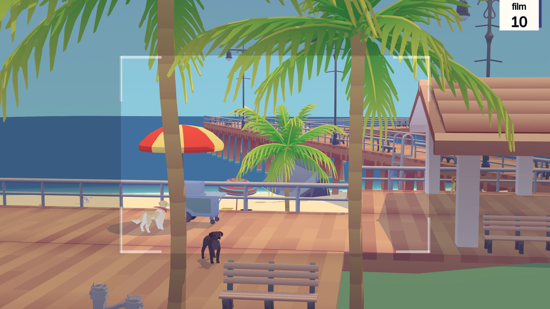 Software Pupperazzi Handwiki - Full HD Ocean Wallpapers for Desktop