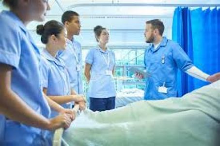 DILMAC 1 A: Leadership And Management In Adult Care Assignment