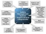 Safety Management System Assignment Point