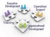 Executive Development Assignment Point