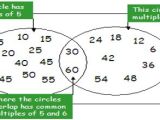 Common Multiples And Common Factors Assignment Point