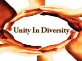 Unity In Diversity Assignment Point
