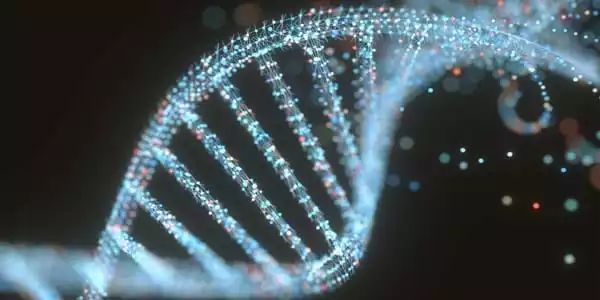 Mutation Evolution Can Be Predicted Using Dna Tangles Assignment Point - Landscape Textures - Classic HD Collection