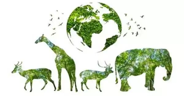 Wield Life Santure - Perfect Geometric Photo - Desktop