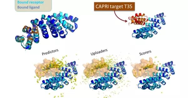Pdf Sequence Based Protein Protein Interaction Prediction Using Multi - Amazing City Photo - 8K