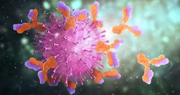 Explainer How The Human Body Fights Infection And How You Can Boost - Download Creative Colorful Wallpaper | High Resolution
