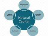 Natural Capital Assignment Point