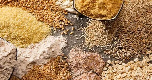 Cereal Crops Assignment Point - Best Sunset Patterns in 8K