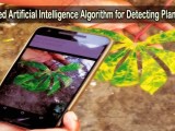 An Improved Artificial Intelligence Algorithm For Detecting Plant