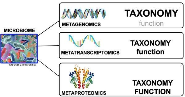 Functional Assignment Of Metatranscriptome Reads Using Blastx Against - Artistic 8K Sunset Images | Free Download