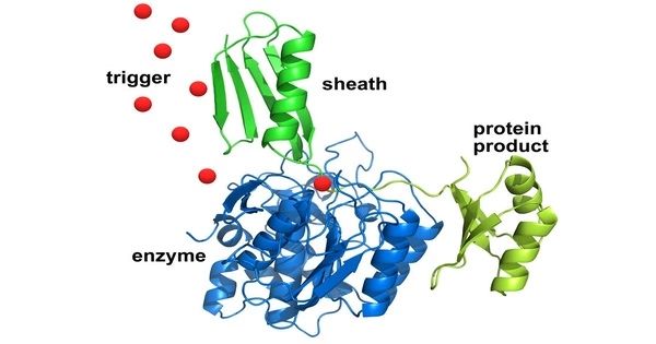 Protein Purification Techniques - Premium Space Art - Full HD