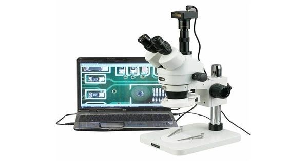 About Digital Microscope Assignment Point - Download Perfect Ocean Art | Full HD