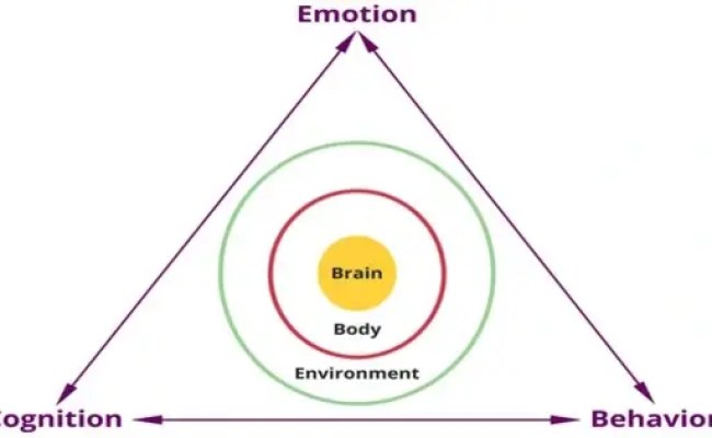 Embodied Cognition - A Theoretical Paradigm - Assignment Point