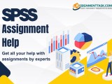 Spss Assignment Help For Statistics Homework Online