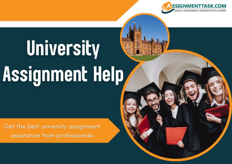 Online University Assignment Help Uk Get Assignment Help - Incredible Ocean Illustration - High Resolution