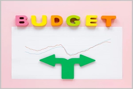 Budget control and optimization