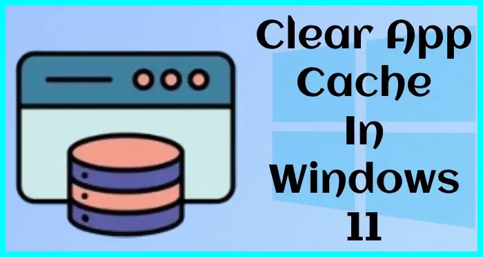 how do you clear the apps cache in windows 11