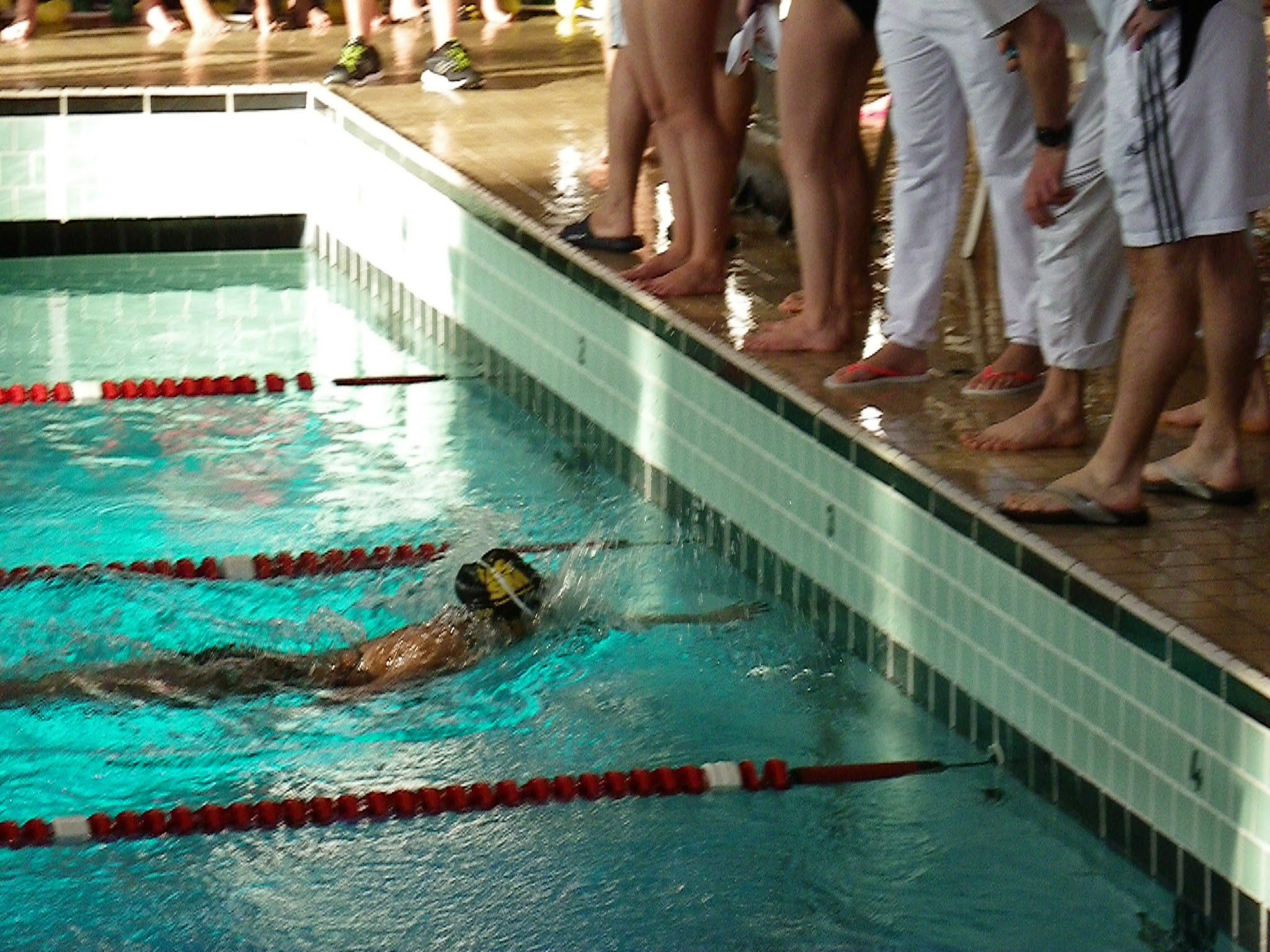 IC_MIN_20150125_IMGP0572