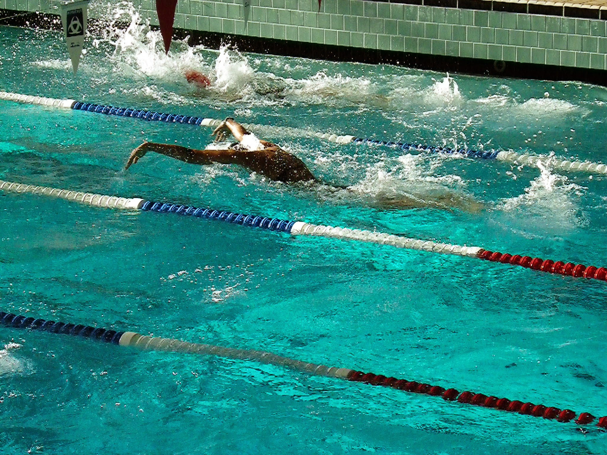 IC_MIN_20150125_IMGP0625