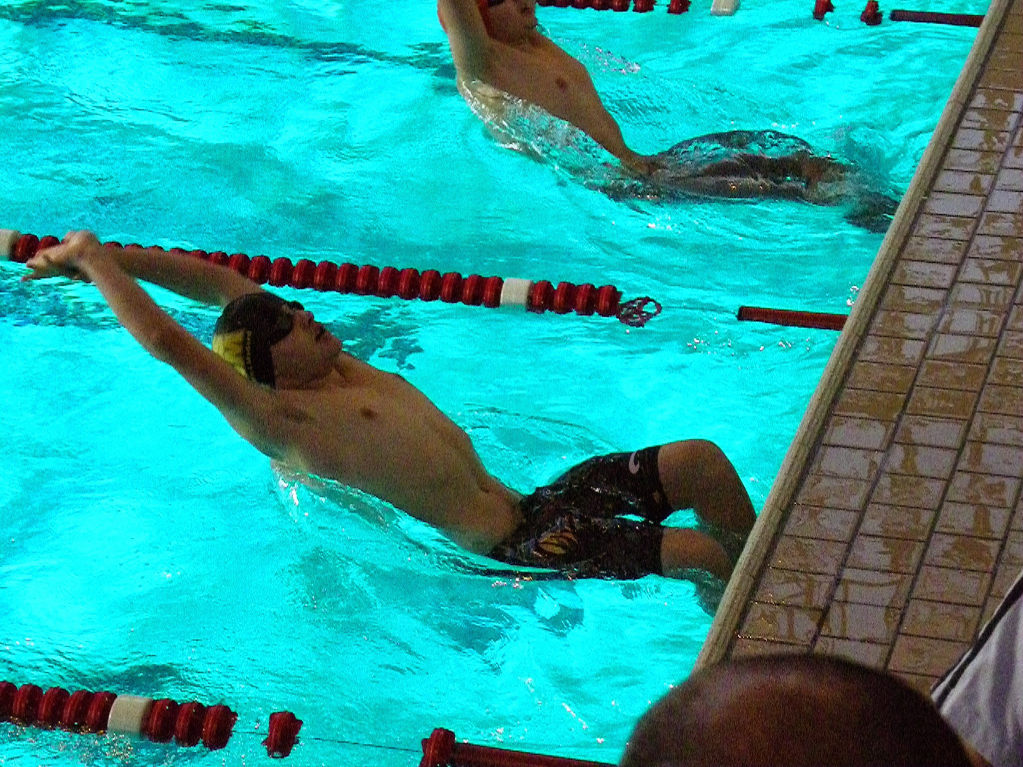 IC_MIN_20150125_IMGP0650