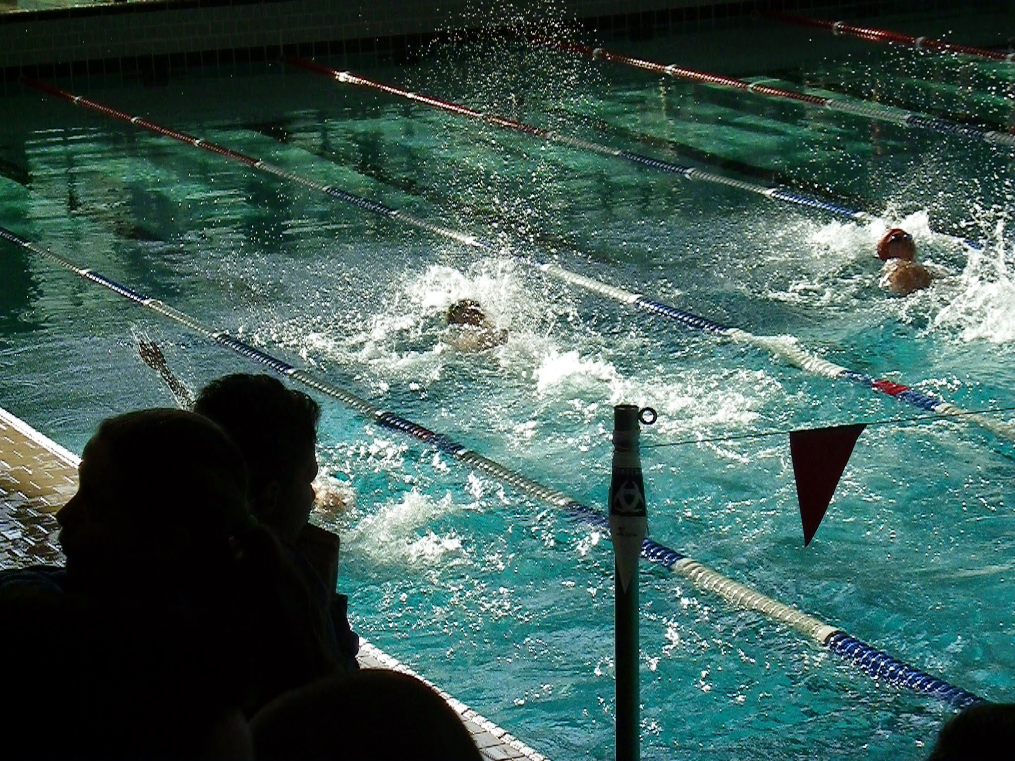 IC_MIN_20150125_IMGP0652