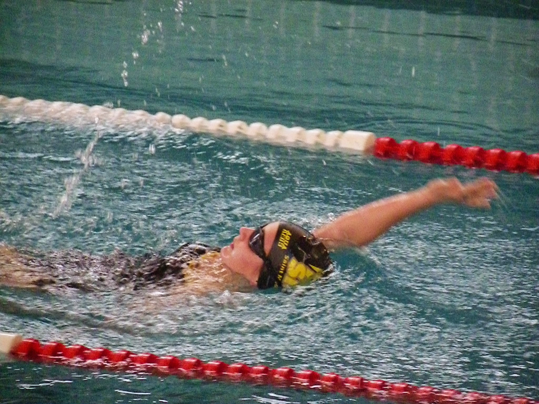 IC_MIN_20150125_IMGP0783