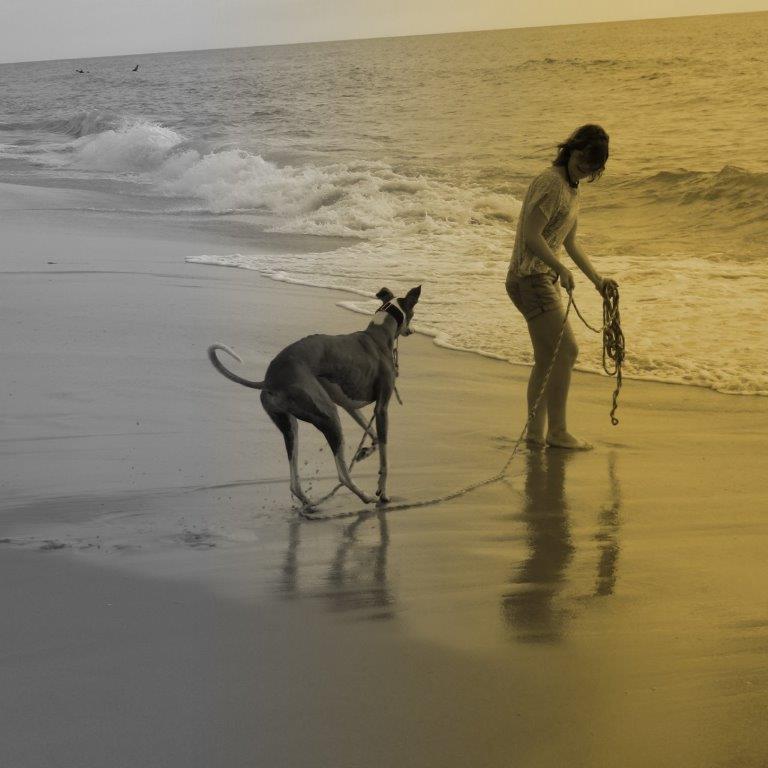 MANOLO PT (4)