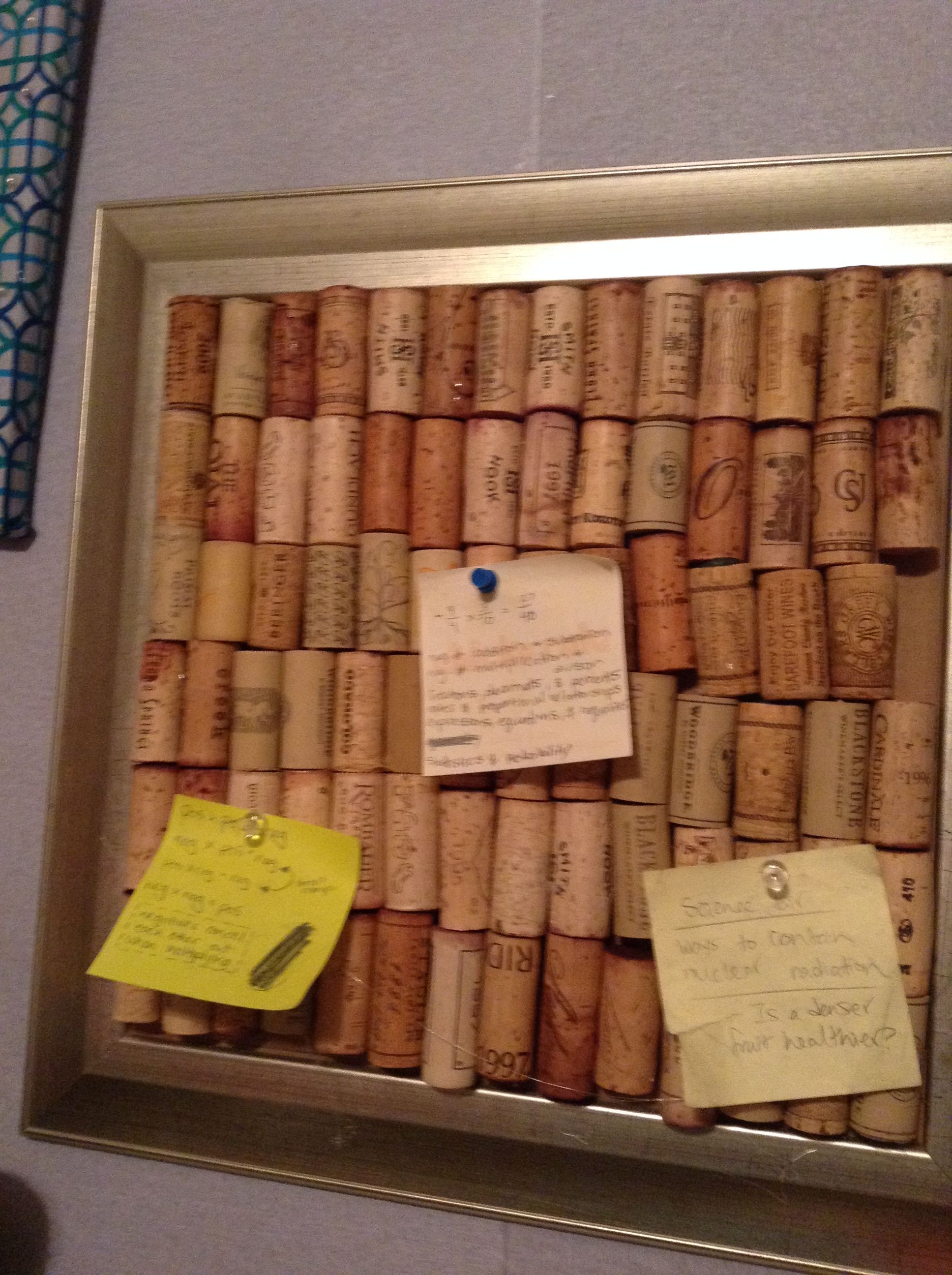 Cork Board #1